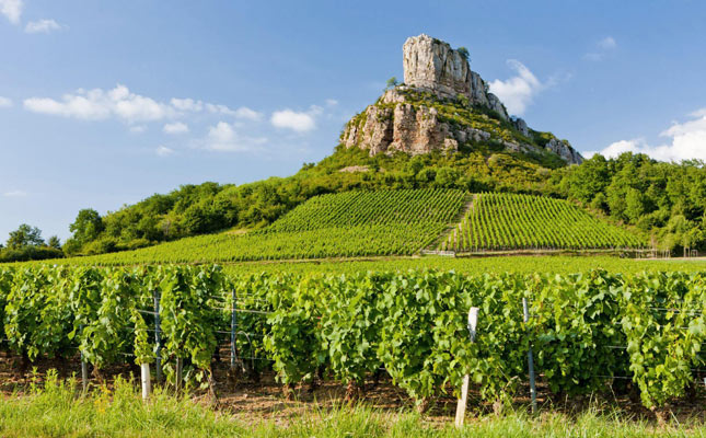 阿爾薩斯產(chǎn)區(qū) 阿爾薩斯產(chǎn)區(qū)