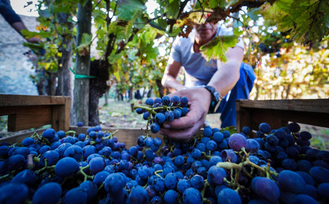 進(jìn)口紅酒一手貨源 進(jìn)口紅酒一手貨源