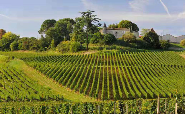 法國西部盧瓦爾河谷產(chǎn)區(qū)介紹 Loire Valley 法國西部盧瓦爾河谷產(chǎn)區(qū)介紹 Loire Valley