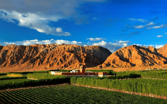 2025新西蘭葡萄酒路演定檔五月