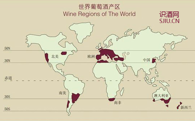 進(jìn)口紅酒一手貨源 進(jìn)口紅酒一手貨源