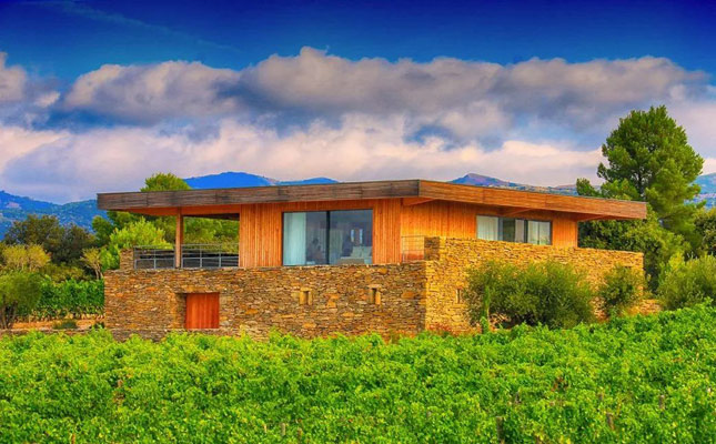 智利伊塔塔谷葡萄酒產(chǎn)區(qū)