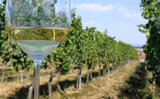 智利伊塔塔谷葡萄酒產(chǎn)區(qū)