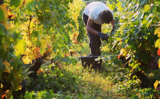 進(jìn)口紅酒一手貨源 進(jìn)口紅酒一手貨源