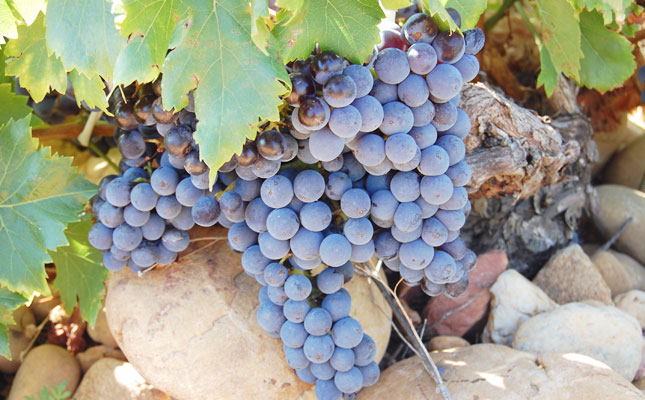 進(jìn)口紅酒一手貨源 進(jìn)口紅酒一手貨源