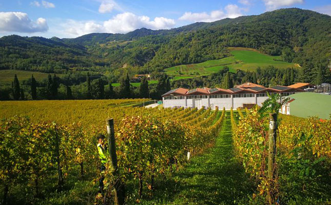 進(jìn)口紅酒一手貨源 進(jìn)口紅酒一手貨源