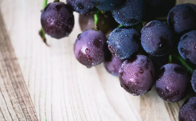 進口紅酒一手貨源 進口紅酒一手貨源