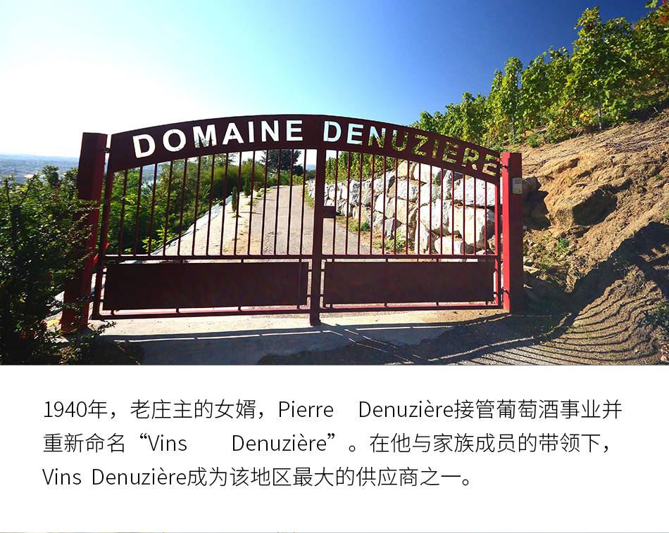 進(jìn)口紅酒一手貨源