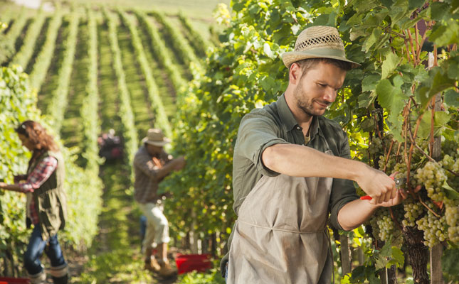 同樣等級(jí)的AOC為什么價(jià)格相差巨大 同樣等級(jí)的AOC為什么價(jià)格相差巨大