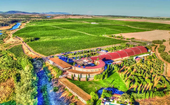 中國葡萄酒產(chǎn)業(yè)