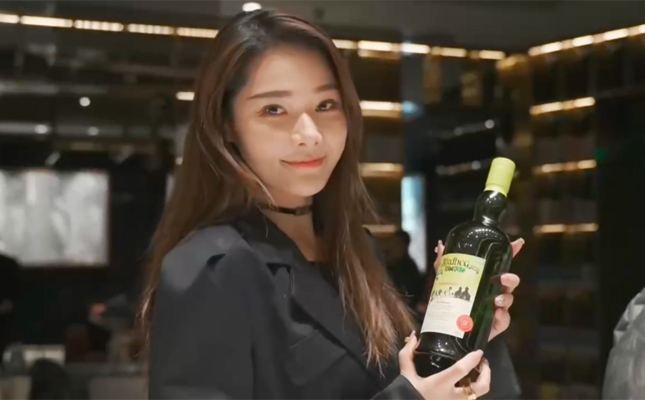 進口紅酒一手貨源 進口紅酒一手貨源