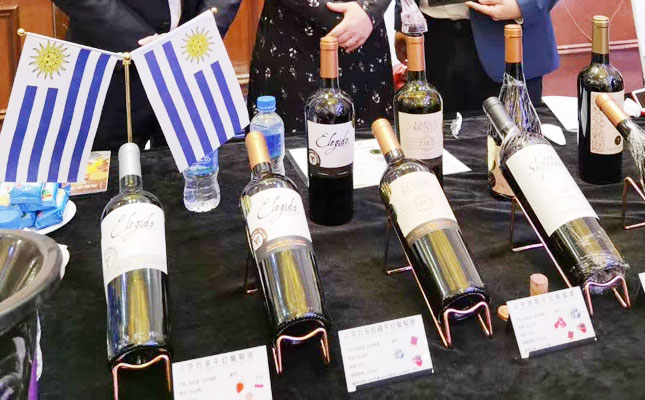 進口紅酒一手貨源