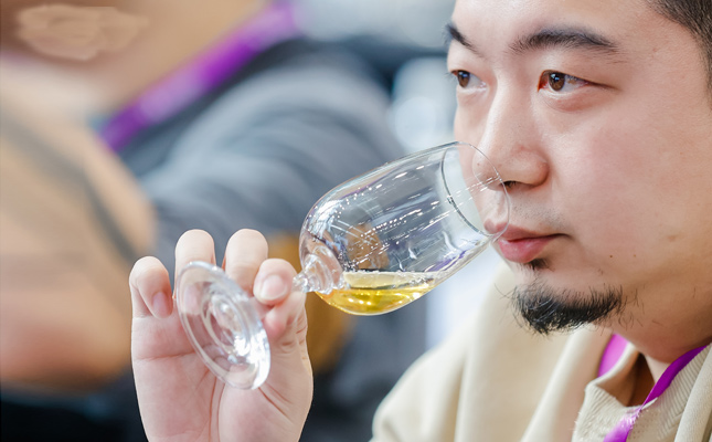 進(jìn)口紅酒一手貨源