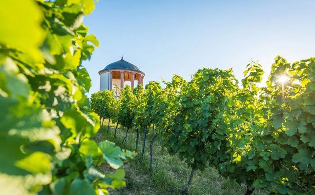 進(jìn)口紅酒一手貨源 進(jìn)口紅酒一手貨源