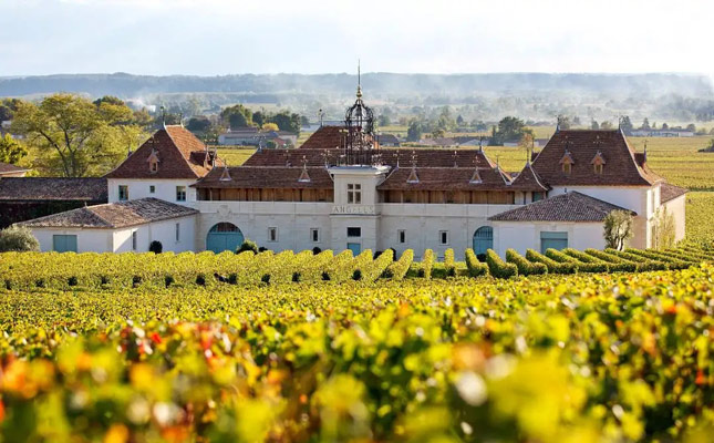 進口紅酒一手貨源 進口紅酒一手貨源