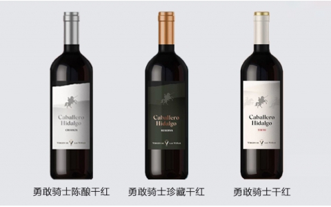 勇敢騎士陳釀?wù)洳馗杉t葡萄酒西班牙