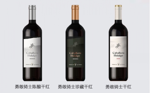 勇敢騎士陳釀?wù)洳馗杉t葡萄酒西班牙