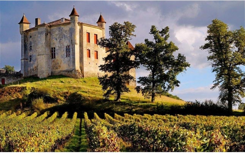 法國(guó)波爾多產(chǎn)區(qū)介紹Bordeaux產(chǎn)地葡萄酒