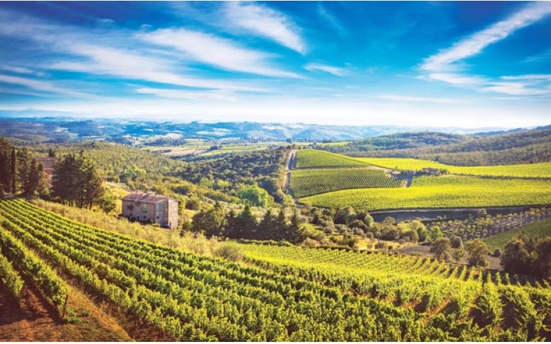 西班牙特拉阿爾塔Terra Alta產(chǎn)區(qū)介紹