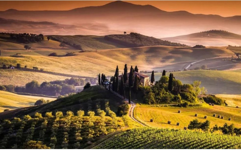 蒙特庫(kù)科Montecucco葡萄酒協(xié)會(huì)可持續(xù)