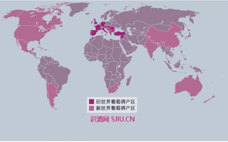 寧夏葡萄酒特色產(chǎn)業(yè)集群15個(gè)項(xiàng)目已驗(yàn)收
