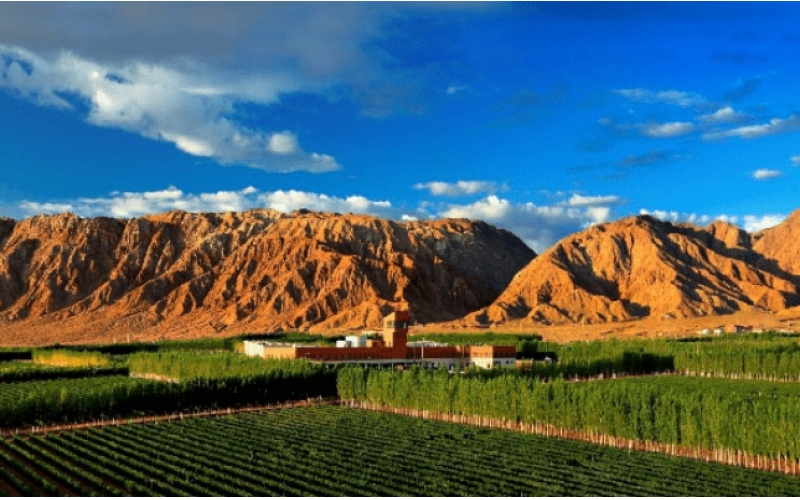 新西蘭葡萄酒2025品鑒酒會將舉辦