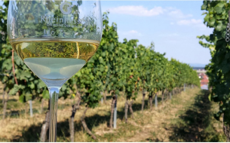 智利伊塔塔谷葡萄酒品酒會(huì)在京舉辦