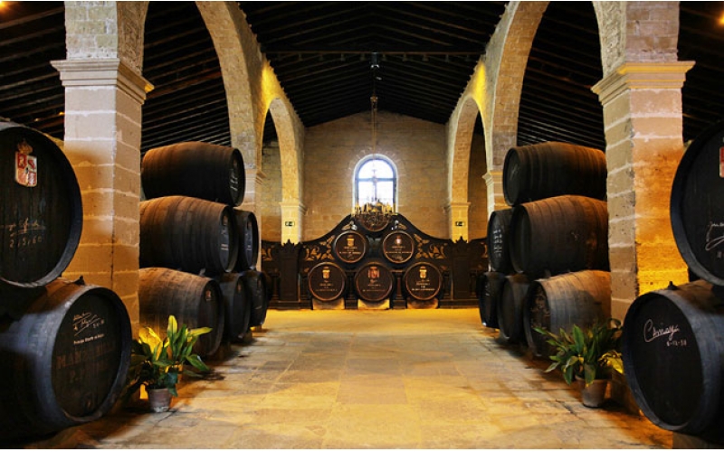 元森酒莊中菲酒莊天塞酒莊參觀考察團(tuán)