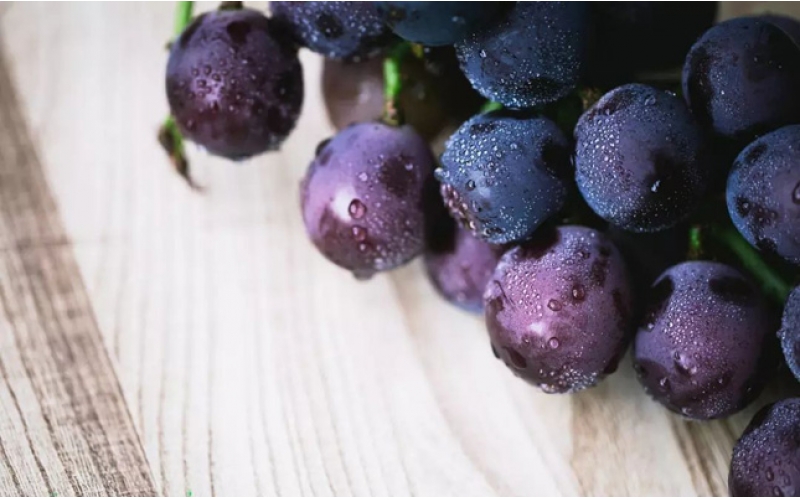 Weingut Gross格勞斯酒莊格萊斯紅酒