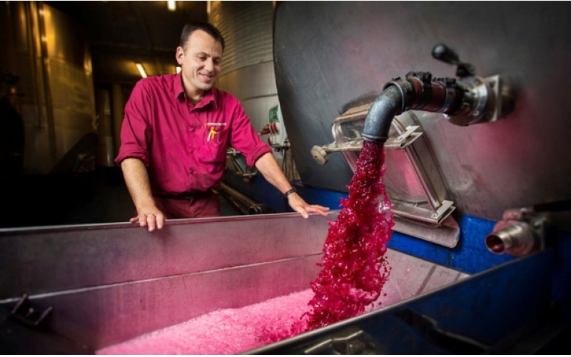 西班牙和智利進(jìn)口葡萄酒酒莊推薦紅酒