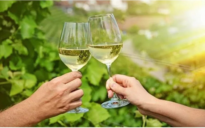 葡萄酒品鑒術(shù)語(yǔ)中的Freshness代表什么