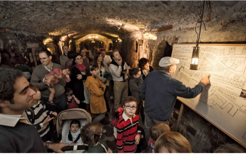 軟木生產(chǎn)工藝流程軟木采收的六個步驟