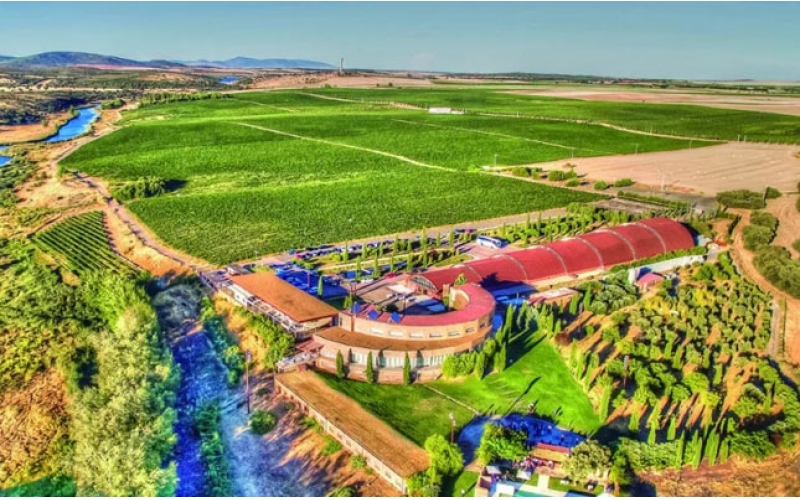 中國(guó)葡萄酒紅酒行業(yè)十大年度新聞事件