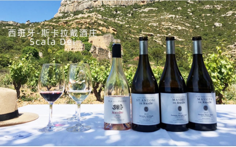上帝之梯ScalaDei斯卡拉戴酒莊葡萄酒