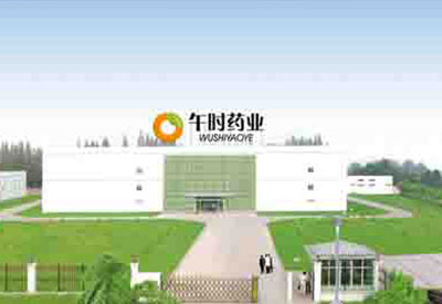 湖北午時藥業(yè)制藥基地項目