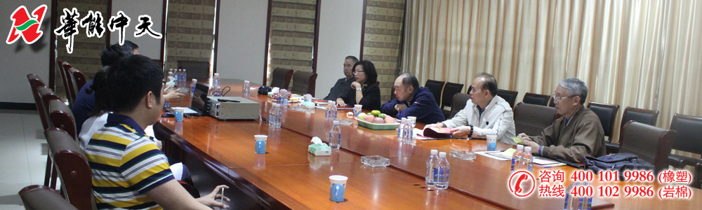 華能中天集團牽手奧地利專家打造合作項目